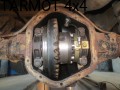 obraz_4187.jpg