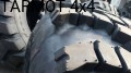 obraz_10931.jpg